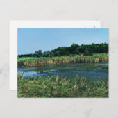 メリトポリ近くのモロチャナヤ川。 南ウクライナ ポストカード (正面/裏面)