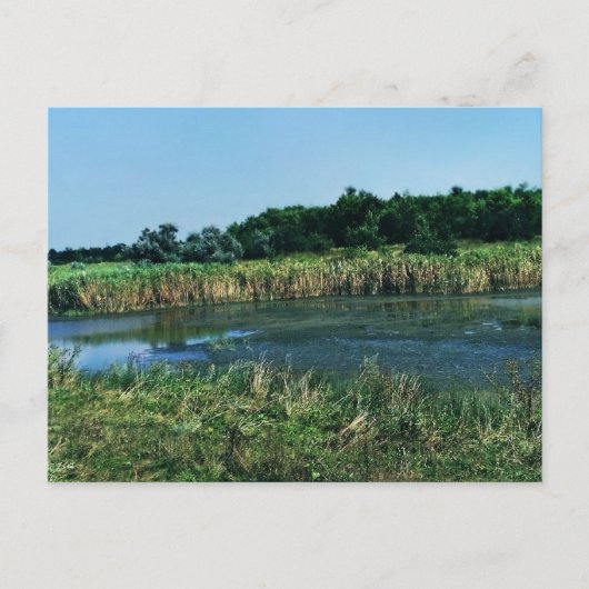 メリトポリ近くのモロチャナヤ川。 南ウクライナ ポストカード (正面)