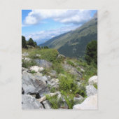 メリベル ポストカード (正面)