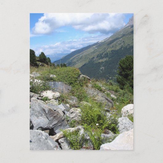 メリベル ポストカード (正面)