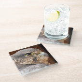 メリン《鳥》ハヤブサ猛禽類 ガラスコースター (アングル)