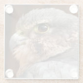 メリン《鳥》ハヤブサ猛禽類 ガラスコースター (裏面)