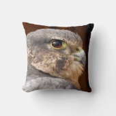 メリン《鳥》ハヤブサ猛禽類 クッション (正面)