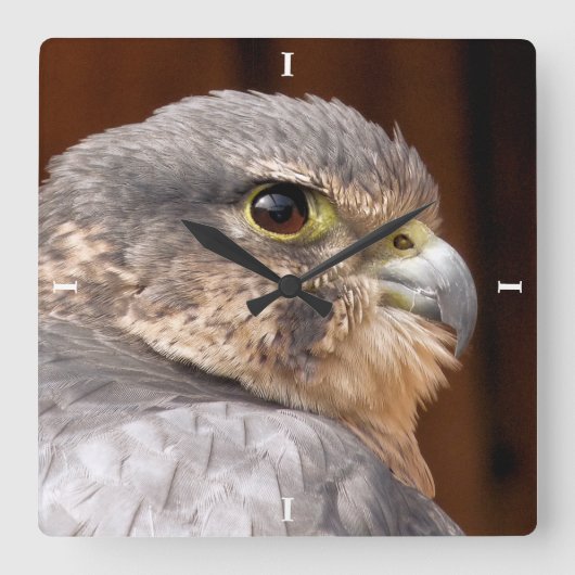 メリン《鳥》ハヤブサ猛禽類 スクエア壁時計 (正面)