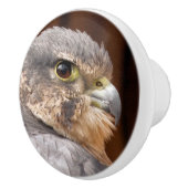 メリン《鳥》ハヤブサ猛禽類 セラミックノブ (右)