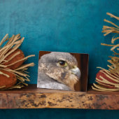 メリン《鳥》ハヤブサ猛禽類 フォトプラーク (側面)