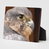 メリン《鳥》ハヤブサ猛禽類 フォトプラーク (側面)