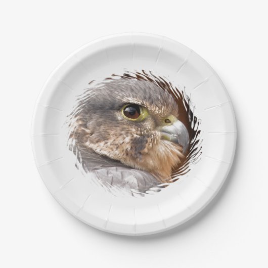 メリン《鳥》ハヤブサ猛禽類 ペーパープレート (正面)