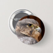 メリン《鳥》ハヤブサ猛禽類 缶バッジ (正面&裏面)