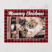メリーおもしろい・クリスマス・レッド・ブラック・プレイド写真 シーズンポストカード (正面)