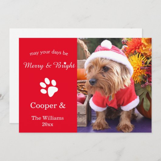 メリーで及び明るくカスタムなクリスマスペット写真カード シーズンカード (正面/裏面)