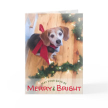 メリーで、明るいビーグル犬犬の赤い弓クリスマス