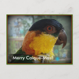 メリーなシロハラインコMas! 郵便はがき シーズンポストカード