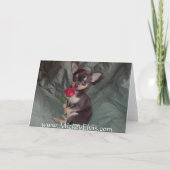 メリーな愛らしくかわいいベビーのチワワは上がりました カード (裏面)