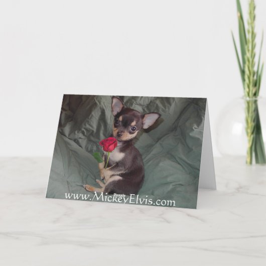 メリーな愛らしくかわいいベビーのチワワは上がりました カード (裏面)