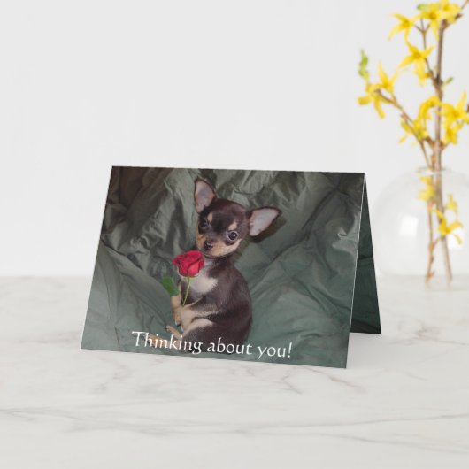 メリーな愛らしくかわいいベビーのチワワは上がりました カード (黄色い花)