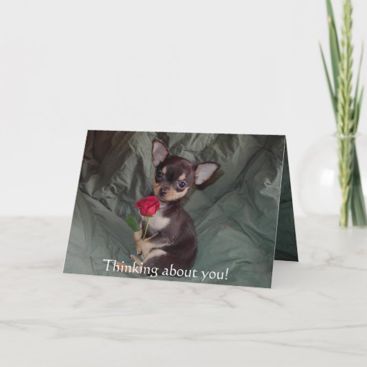 メリーな愛らしくかわいいベビーのチワワは上がりました カード (正面)