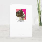 メリーなAxemasジャズギターカード シーズンカード (裏面)