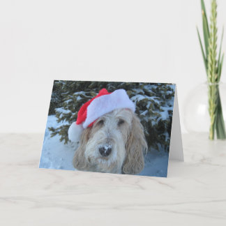 メリーなGBGVのクリスマス シーズンカード