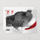 メリーなHumpinのクリスマスのラクダクロース シーズンポストカード (正面/裏面)