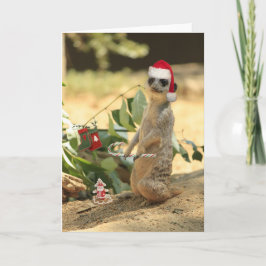 メリーなMeerkat シーズンカード