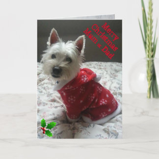 メリーなWestieのクリスマスカードのミイラ及びパパ シーズンカード