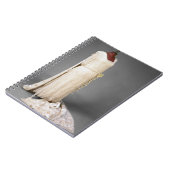 メリーの第一王女1922年著擦り切れたなウェディングドレス ノートブック (左側)