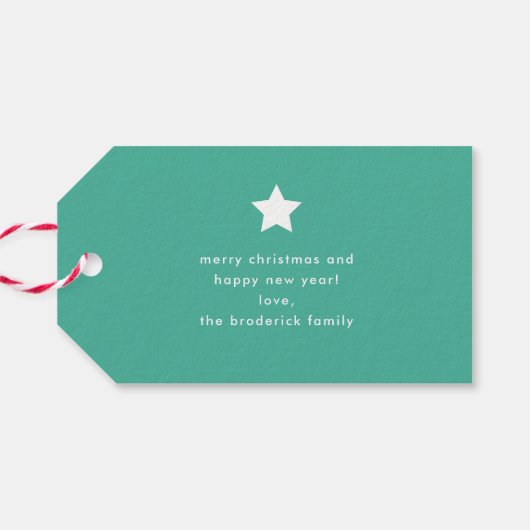 メリーはっきりしたカラフルクリスマス ギフトタグ (裏面横)