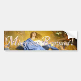 メリーは有頂天にされたバンパーステッカーでした バンパーステッカー