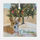 メリーカスタムクリスマスのペット写真美犬 ガラスオーナメント (正面)