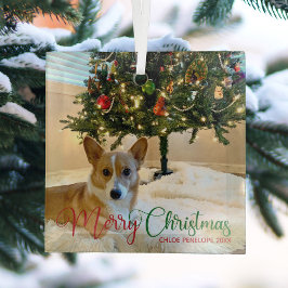 メリーカスタムクリスマスのペット写真美犬 ガラスオーナメント