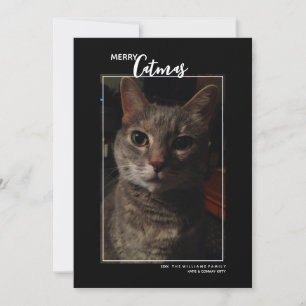 メリーキャットマス ペット写真 ホリデーカード