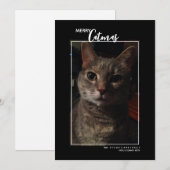 メリーキャットマス ペット写真 ホリデーカード (正面/裏面)