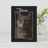 メリーキャットマス ペット写真 ホリデーカード (スタンド正面)