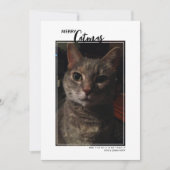 メリーキャットマス ペット写真 ホリデーカード (正面)
