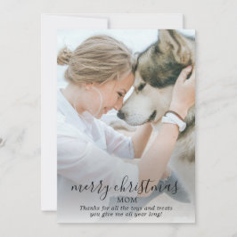 メリークリスマスお母さん犬の写真 シーズンカード