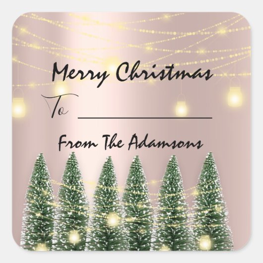 メリークリスマスから…家族の名前の休日ツリーへ スクエアシール (正面)