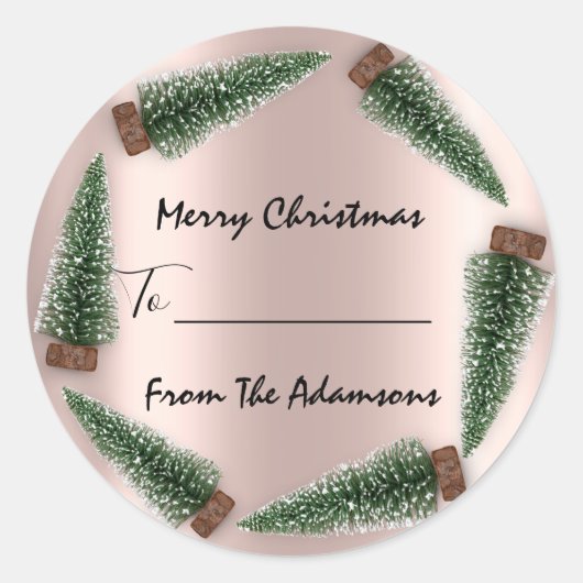 メリークリスマスから…家族の名前の休日ツリーへ ラウンドシール (正面)