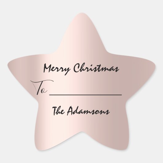 メリークリスマスから…家族の名前の休日バラ 星シール (正面)