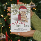 メリークリスマスかわいいヨークシャーテリアウォーター色 シーズンカード