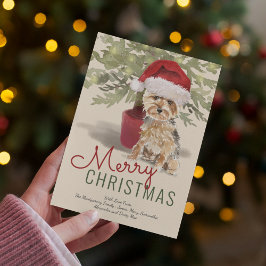 メリークリスマスかわいいヨークシャーテリア シーズンカード