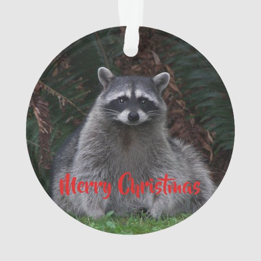 メリークリスマスかわいい森のアライグマ オーナメント (裏面)