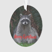 メリークリスマスかわいい森のアライグマ オーナメント (正面)