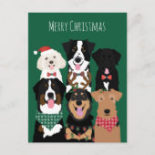 メリークリスマスかわいい犬たち ポストカード (正面)