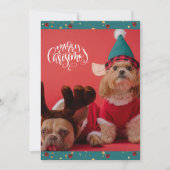 メリークリスマスかわいい犬のクリスマス シーズンカード (正面)