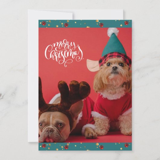 メリークリスマスかわいい犬のクリスマス シーズンカード (正面)