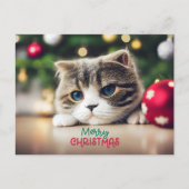 メリークリスマスかわいい猫と青い目 シーズンポストカード (正面)