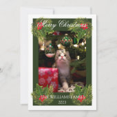 メリークリスマスかわいい猫ペット写真水彩 シーズンカード (正面)