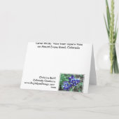 メリークリスマスがマイルを越えて シーズンカード (裏面)