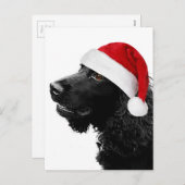 メリークリスマスのコッカー シーズンポストカード (正面/裏面)